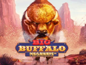 game logo by Skywind Group on spindynastys.com